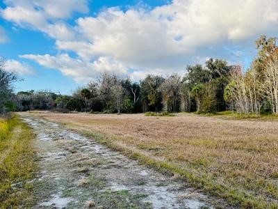 1391 E Keysville Road Lithia FL 33547 T3356813 image1