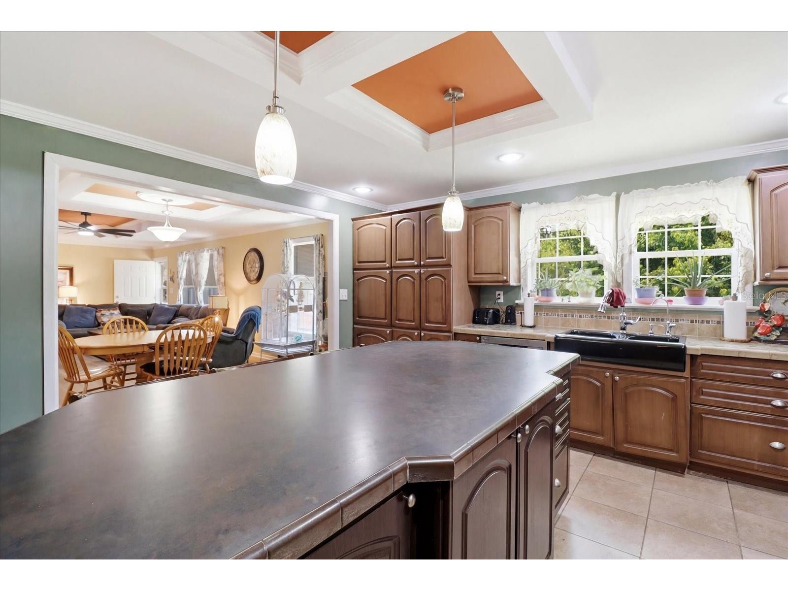 1391 S Gettysburg Drive Homosassa FL 34448 OM727890 image16