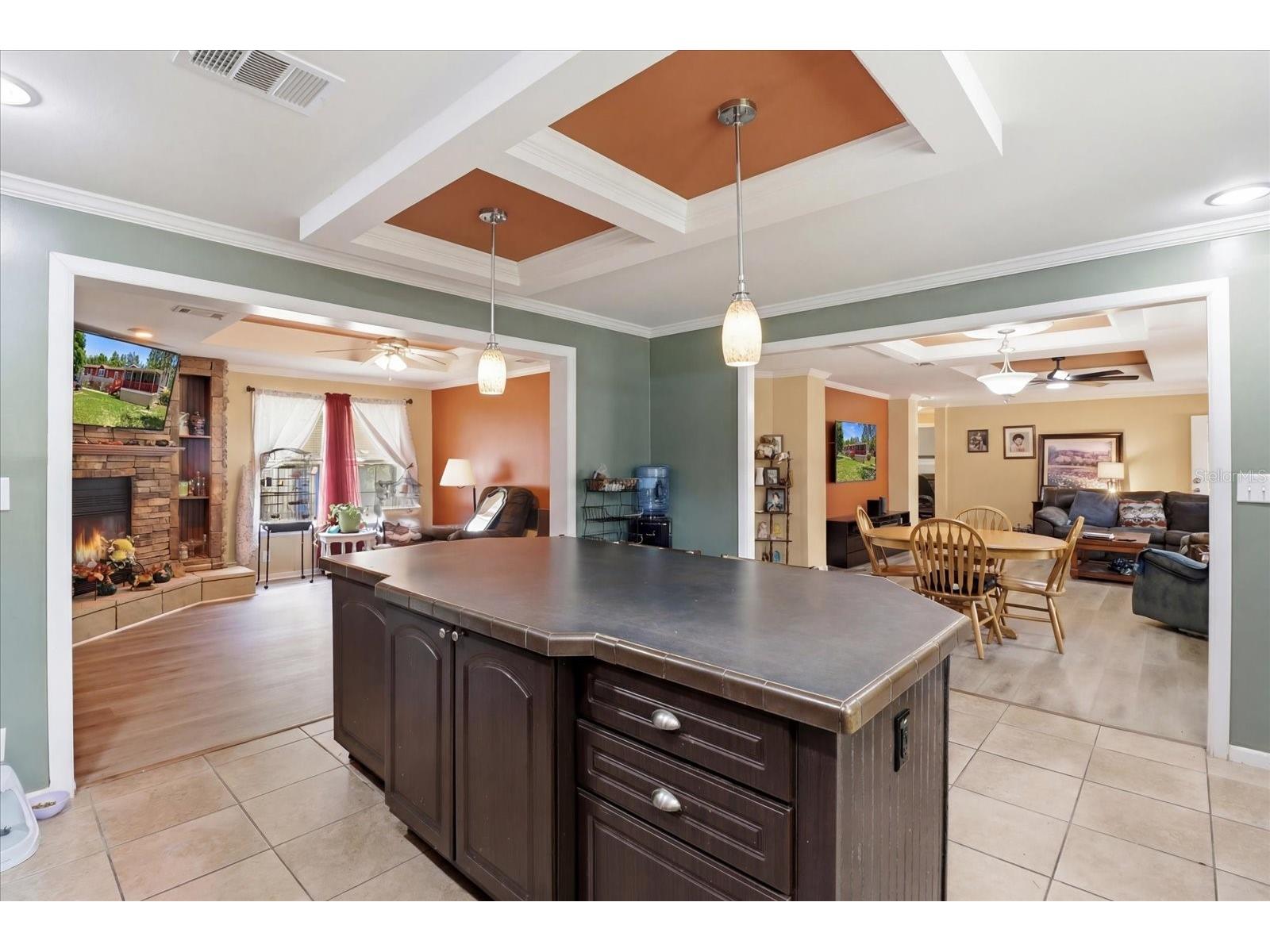 1391 S Gettysburg Drive Homosassa FL 34448 OM727890 image17