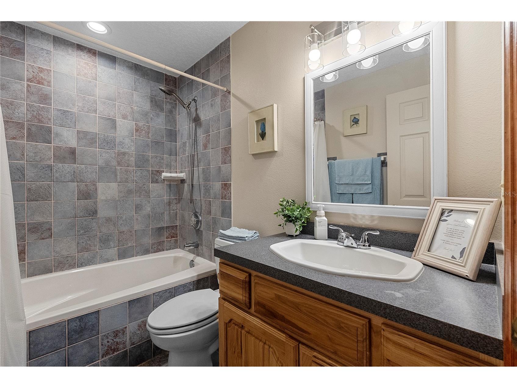 13910 Corkwood Lane Astatula FL 34705 O6393542 image33