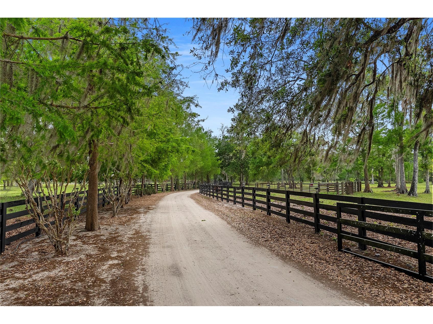 13910 Corkwood Lane Astatula FL 34705 O6393542 image49