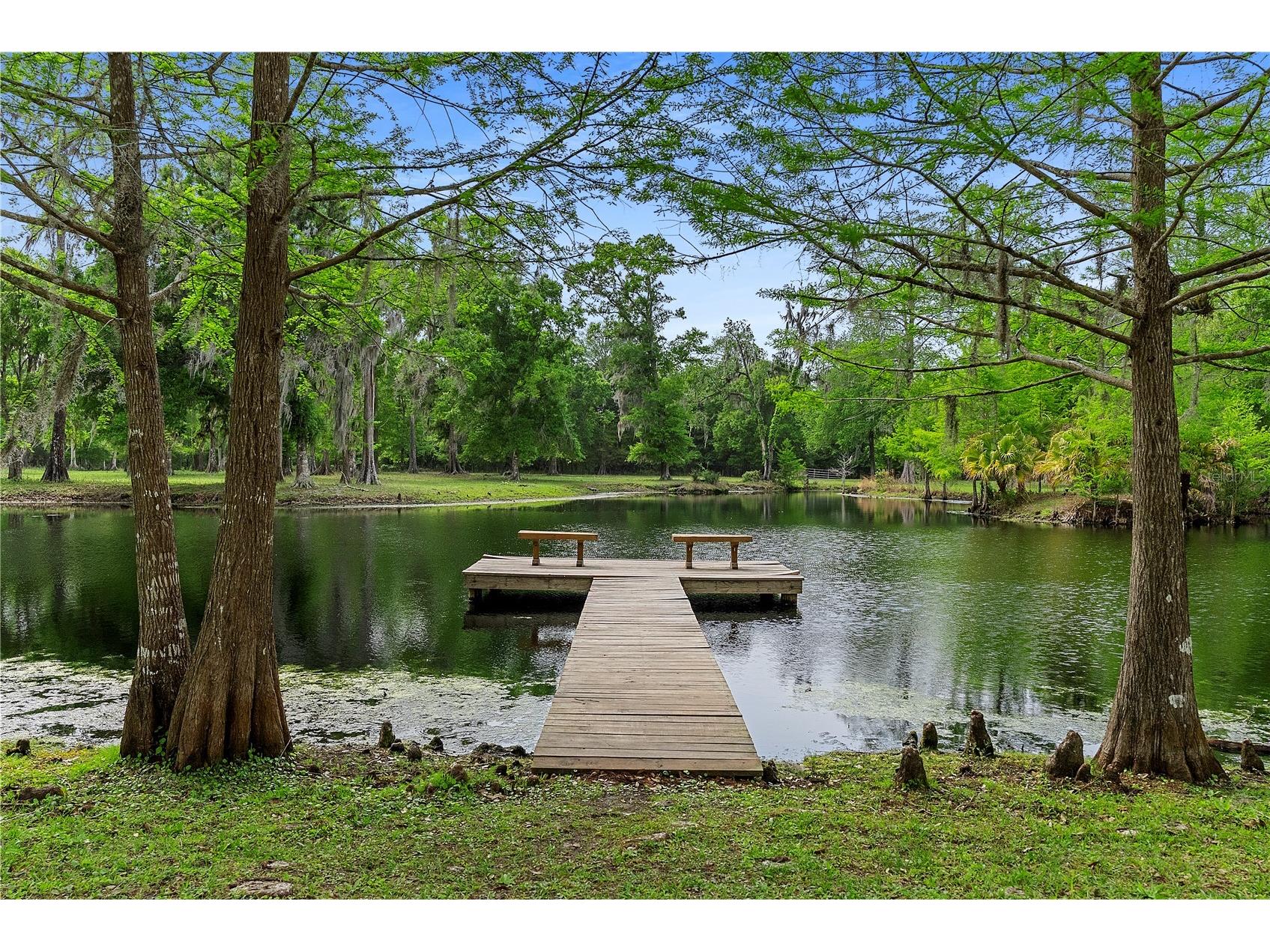 13910 Corkwood Lane Astatula FL 34705 O6393542 image59