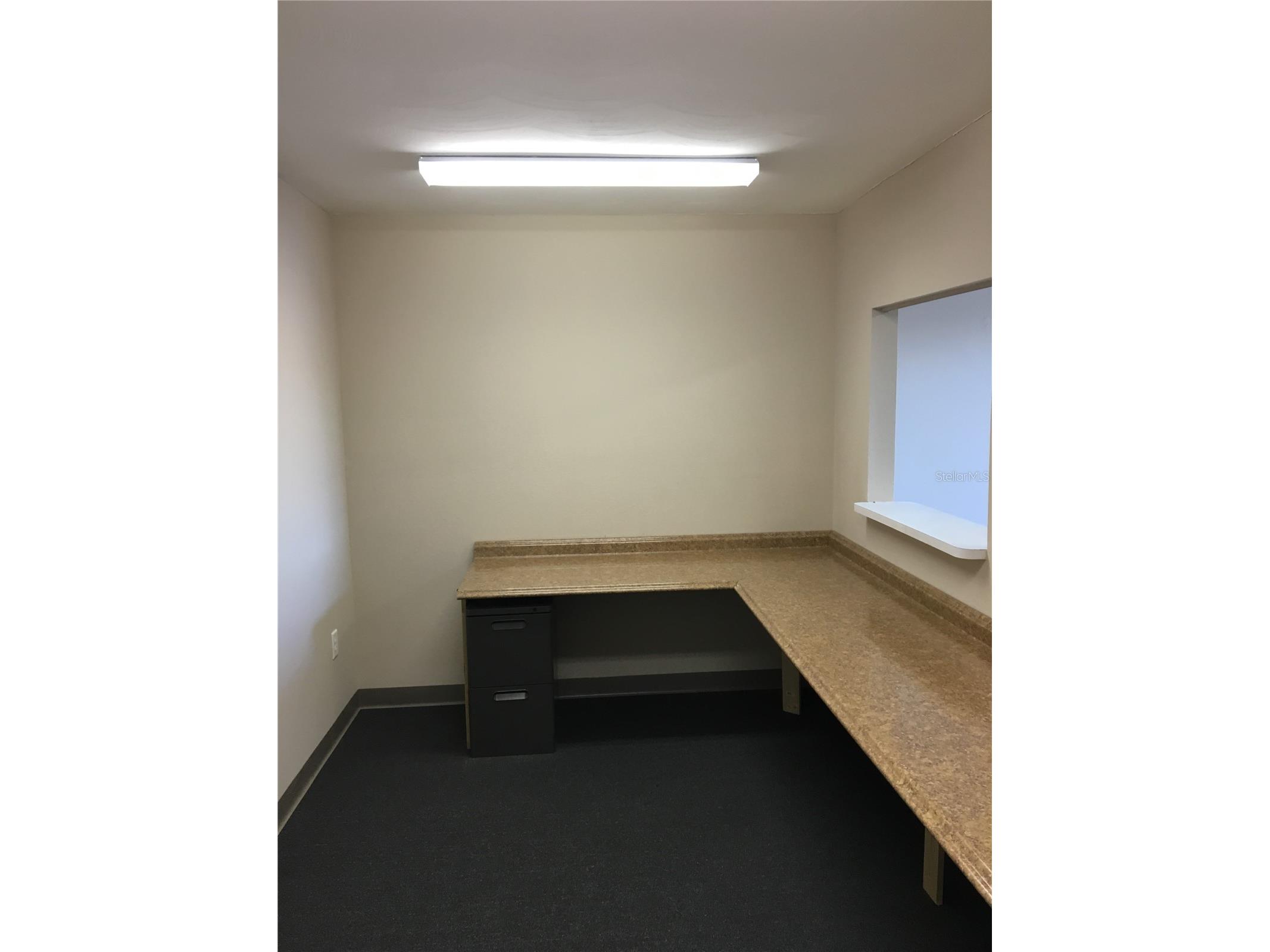 13910 Fivay Road #10 Hudson FL 34667 TB8483844 image5