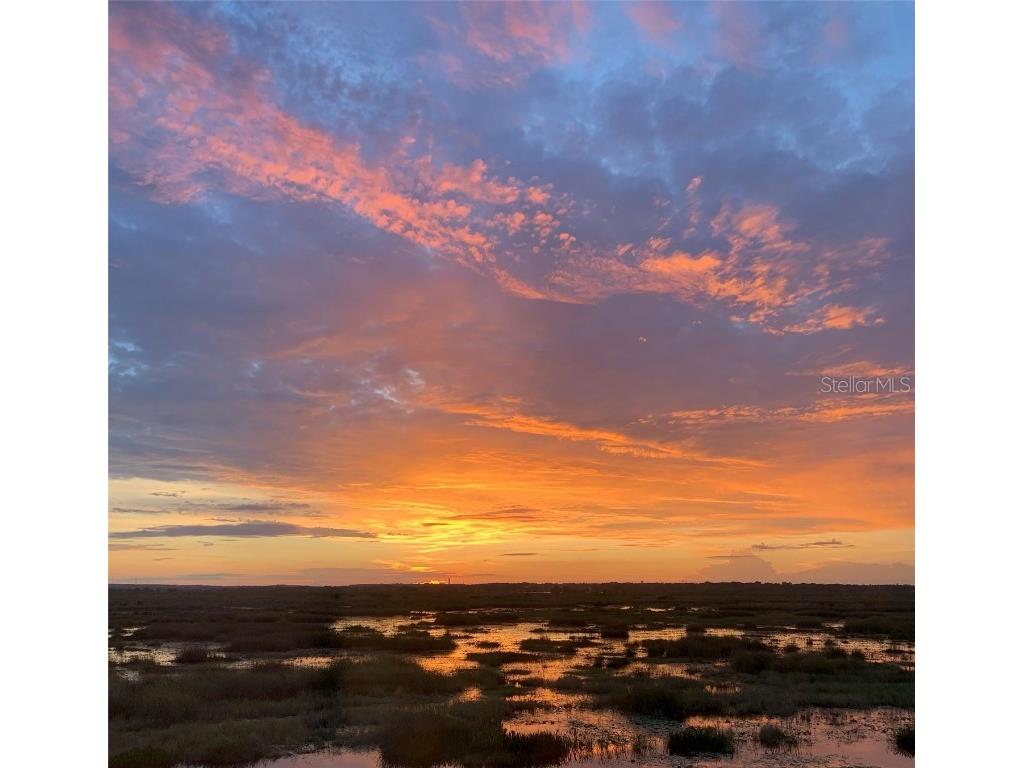 13910 Max Hooks Road Clermont FL 34711 - WATERSHED OFF PALATLAKAHA G5083955 image11