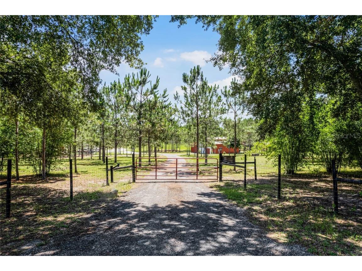 13910 Max Hooks Road Clermont FL 34711 - WATERSHED OFF PALATLAKAHA G5083955 image43