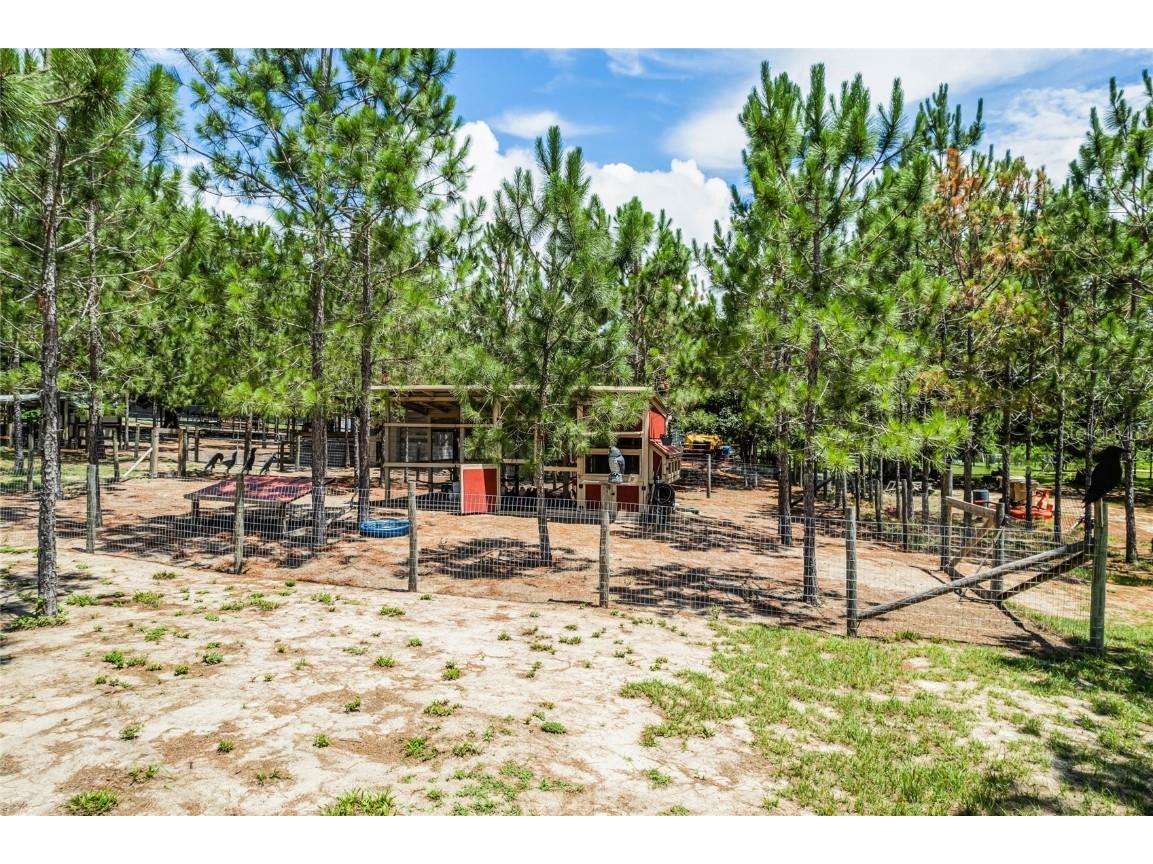 13910 Max Hooks Road Clermont FL 34711 - WATERSHED OFF PALATLAKAHA G5083955 image55