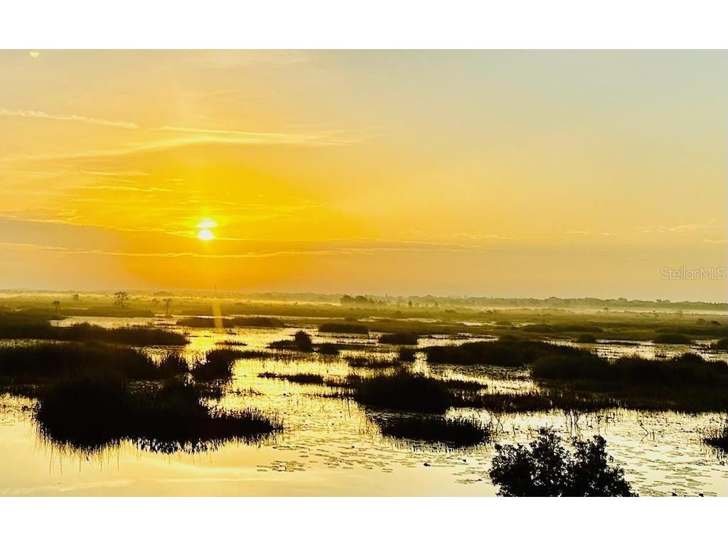 13910 Max Hooks Road Clermont FL 34711 - WATERSHED OFF PALATLAKAHA G5083955 image62