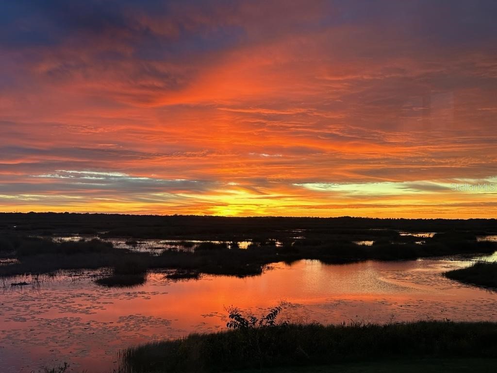 13910 Max Hooks Road Clermont FL 34711 - WATERSHED OFF PALATLAKAHA G5083955 image63