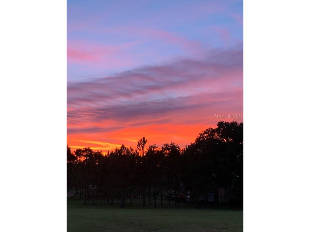 13910 Max Hooks Road Clermont FL 34711 - WATERSHED OFF PALATLAKAHA G5083955 image65