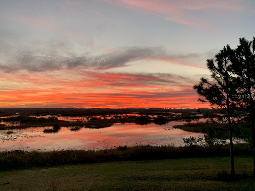 13910 Max Hooks Road Clermont FL 34711 - WATERSHED OFF PALATLAKAHA G5083955 image66