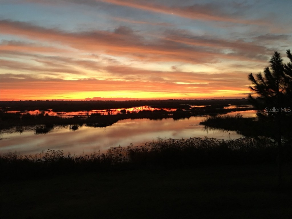 13910 Max Hooks Road Clermont FL 34711 - WATERSHED OFF PALATLAKAHA G5083955 image67