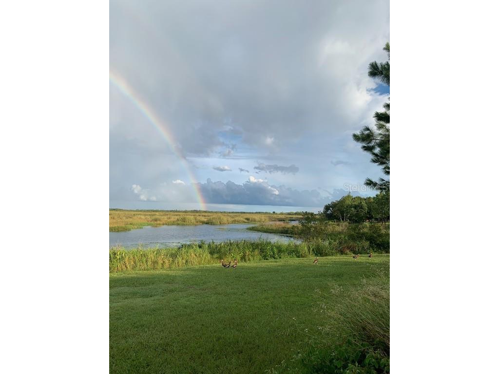 13910 Max Hooks Road Clermont FL 34711 - WATERSHED OFF PALATLAKAHA G5083955 image69