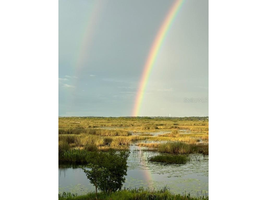 13910 Max Hooks Road Clermont FL 34711 - WATERSHED OFF PALATLAKAHA G5083955 image70