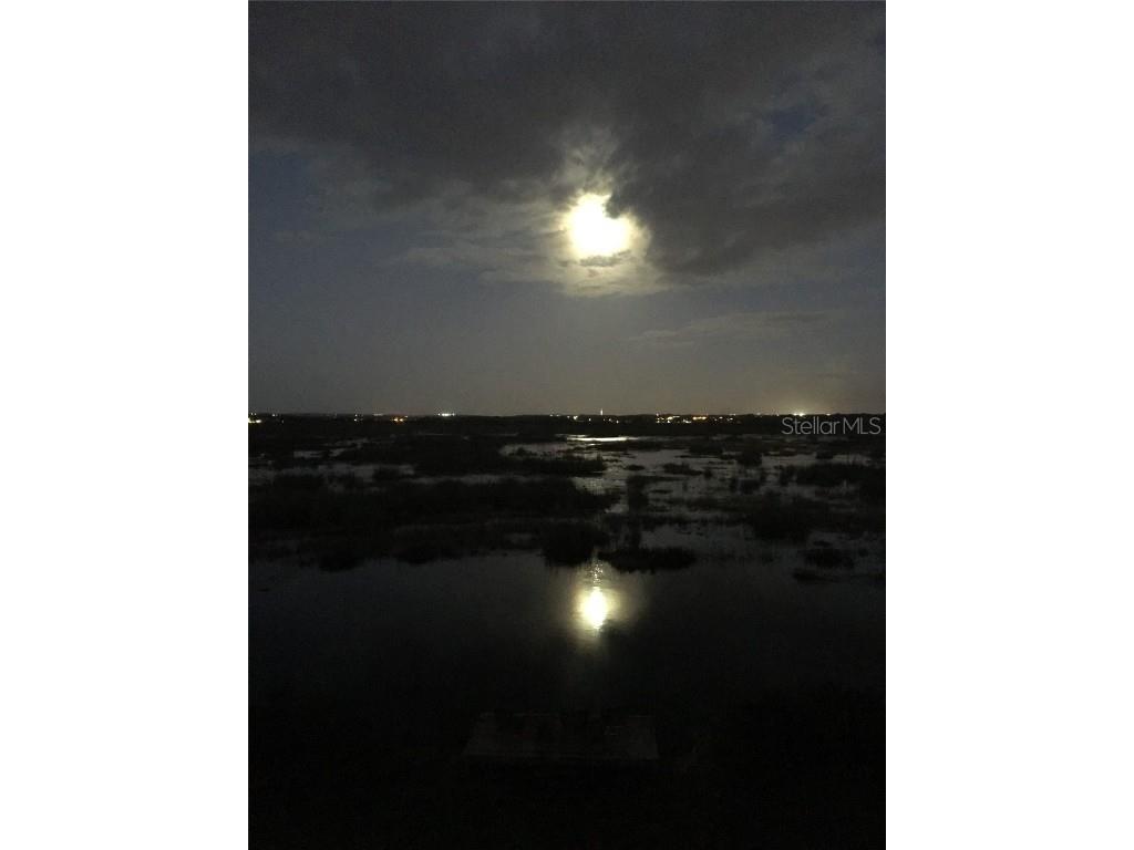 13910 Max Hooks Road Clermont FL 34711 - WATERSHED OFF PALATLAKAHA G5083955 image71