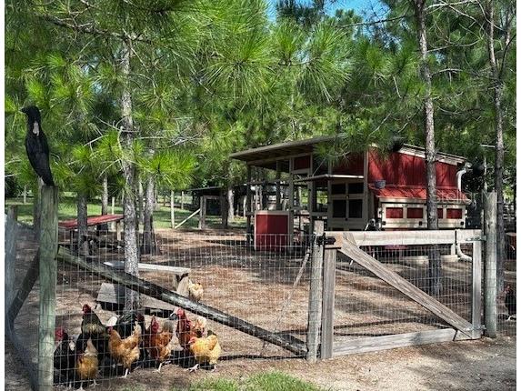 13910 Max Hooks Road Clermont FL 34711 - WATERSHED OFF PALATLAKAHA G5083955 image73