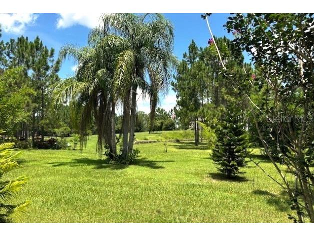 13910 Max Hooks Road Clermont FL 34711 - WATERSHED OFF PALATLAKAHA G5083955 image76