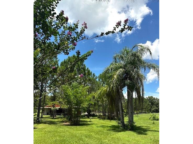 13910 Max Hooks Road Clermont FL 34711 - WATERSHED OFF PALATLAKAHA G5083955 image77