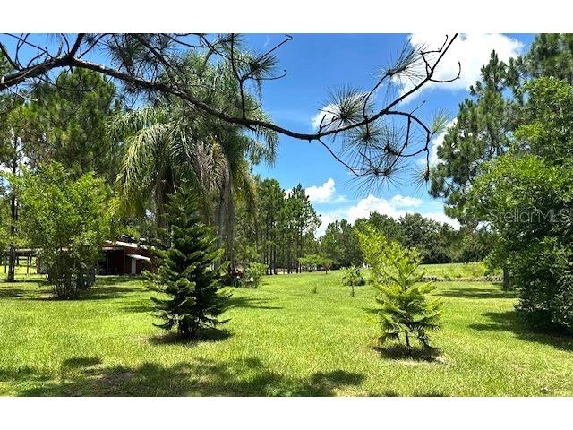 13910 Max Hooks Road Clermont FL 34711 - WATERSHED OFF PALATLAKAHA G5083955 image78
