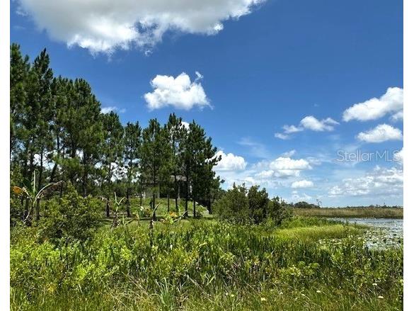 13910 Max Hooks Road Clermont FL 34711 - WATERSHED OFF PALATLAKAHA G5083955 image8
