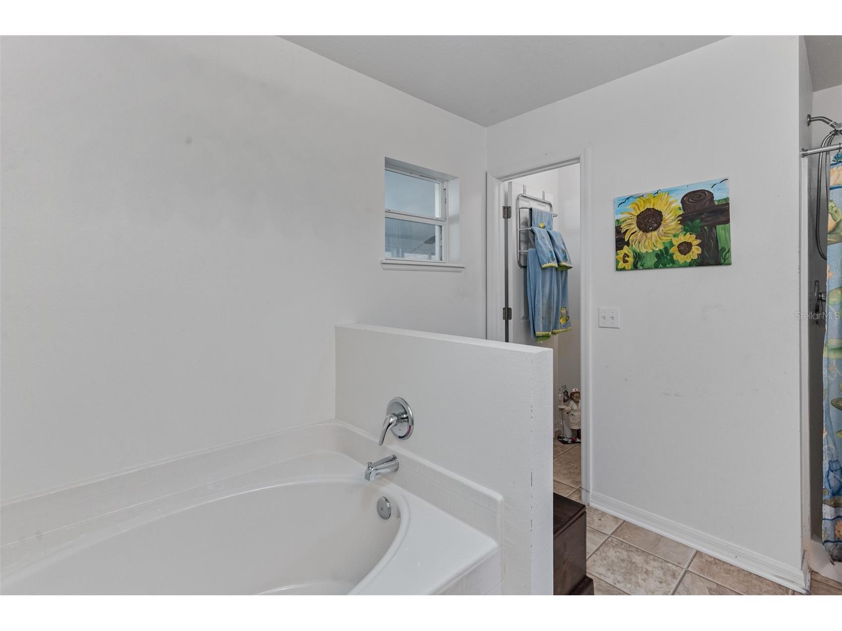 13912 Coronado Drive Spring Hill FL 34609 TB8473770 image22