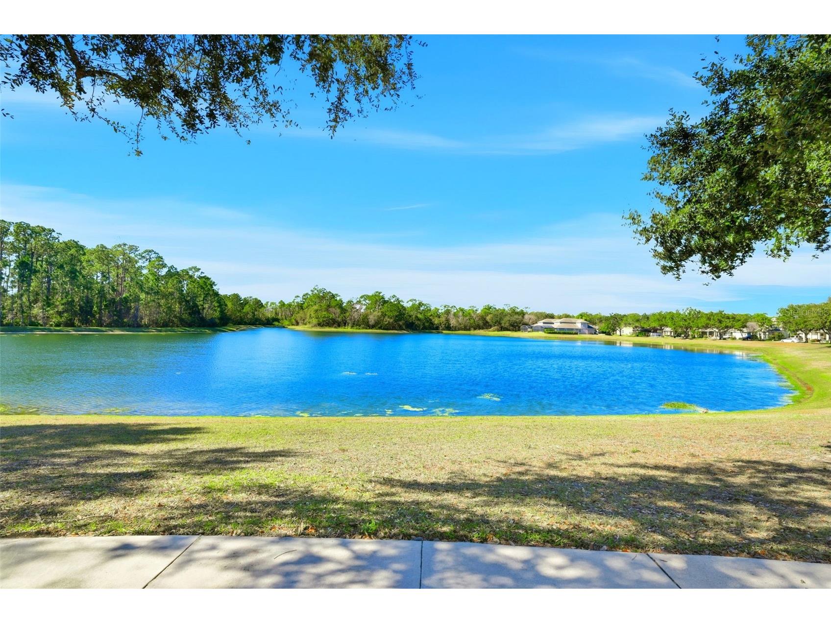 13912 Darchance Road Windermere FL 34786 O6377606 image4