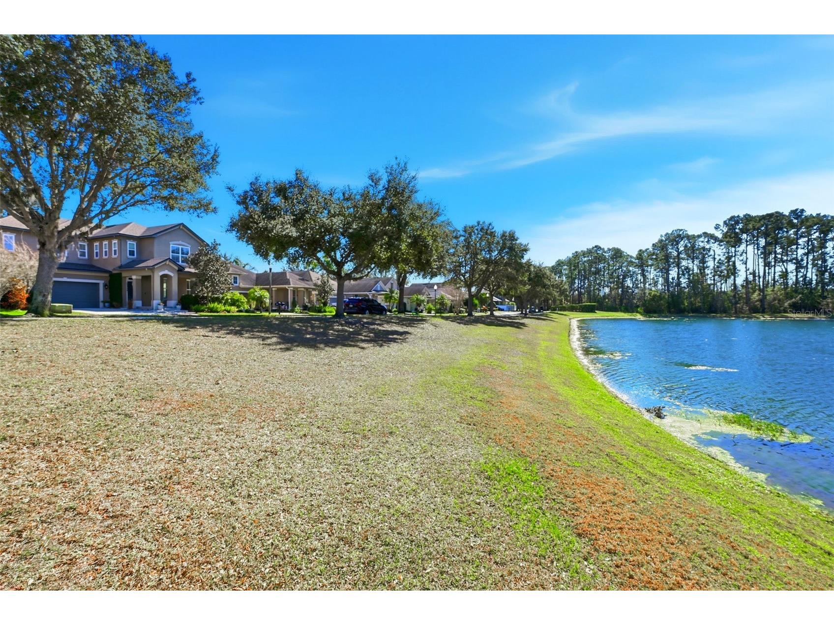 13912 Darchance Road Windermere FL 34786 O6377606 image6