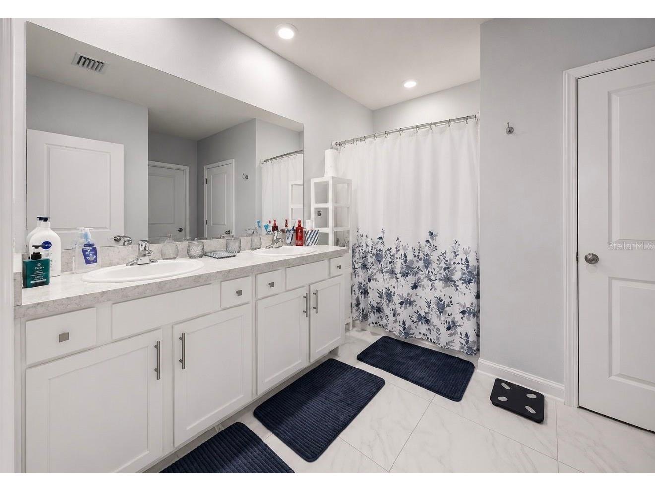 13912 Smiling Daisy Place Riverview FL 33579 TB8509342 image21