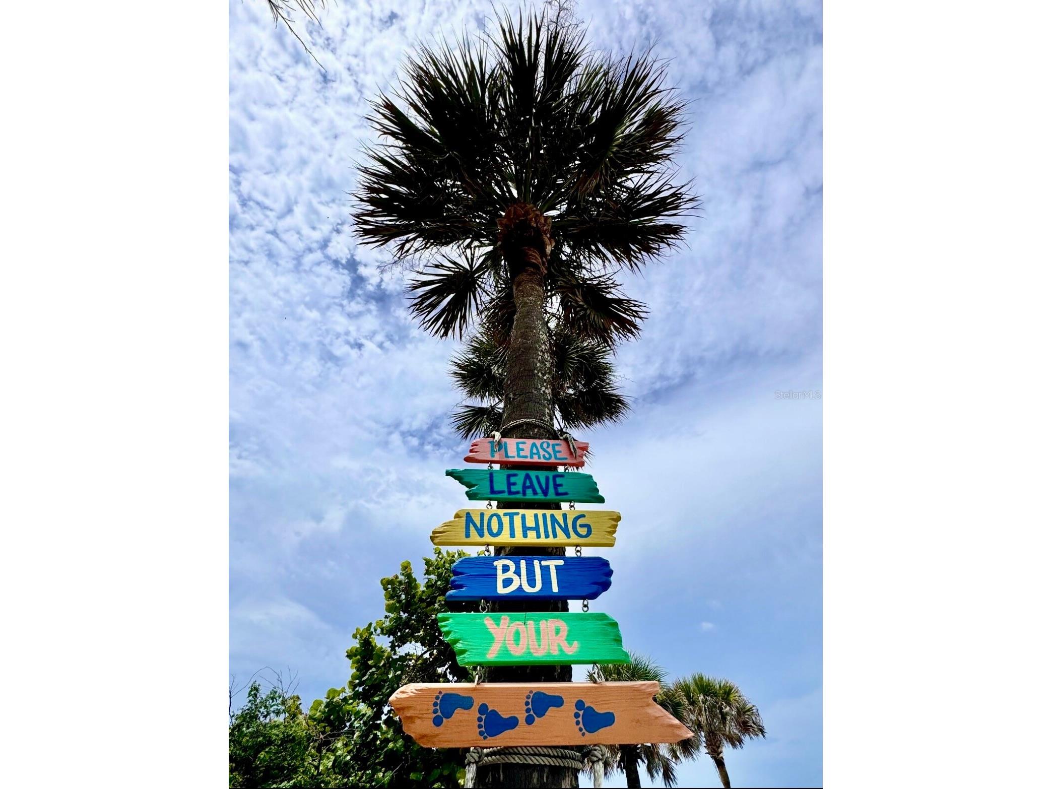 13914 84th Terrace Seminole FL 33776 TB8445837 image37