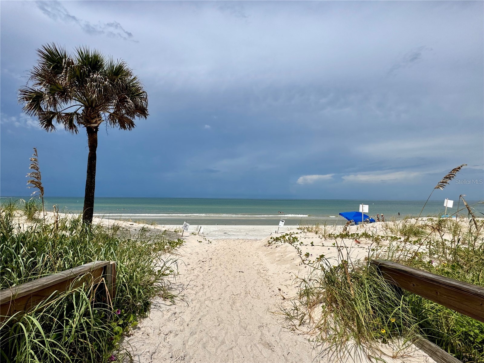 13914 84th Terrace Seminole FL 33776 TB8445837 image43