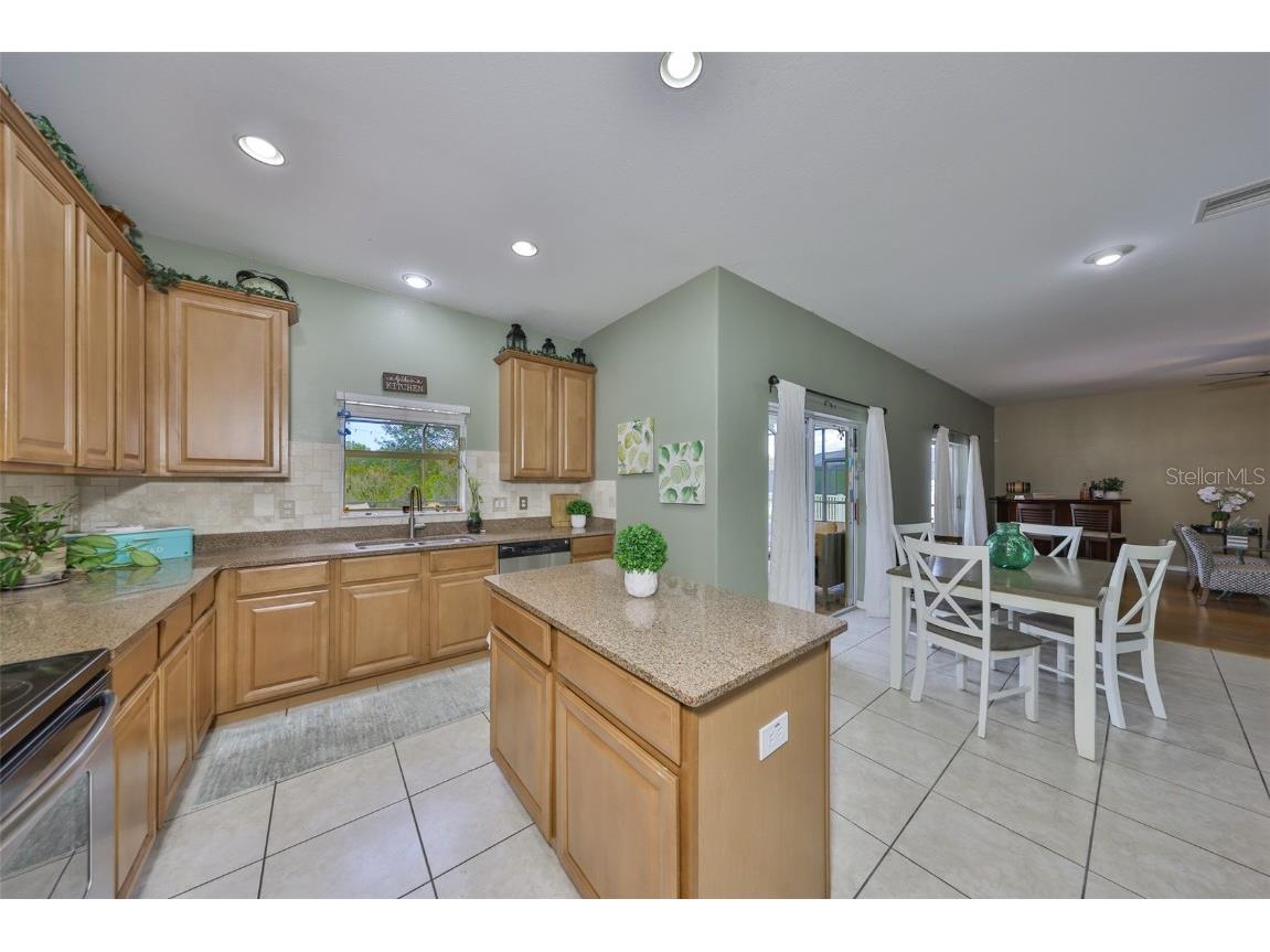 13914 Chalk Hill Place Riverview FL 33579 TB8446830 image10