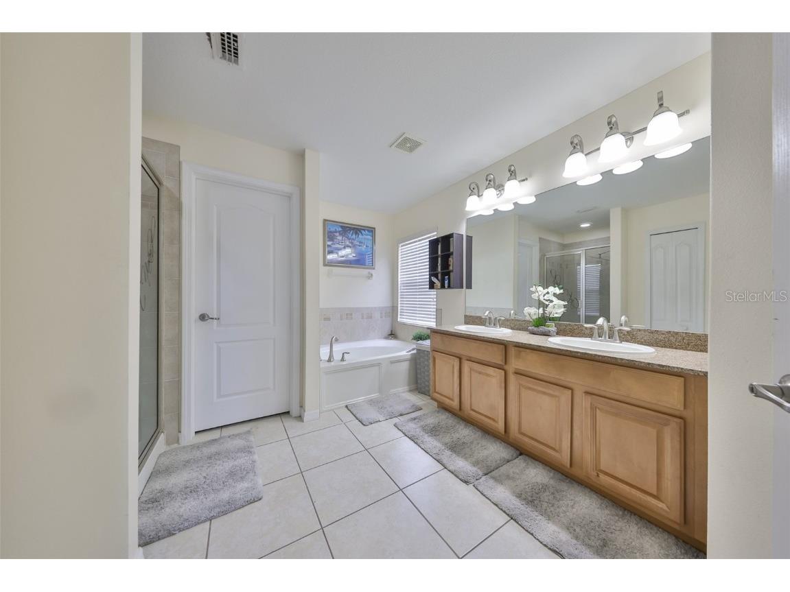 13914 Chalk Hill Place Riverview FL 33579 TB8446830 image27