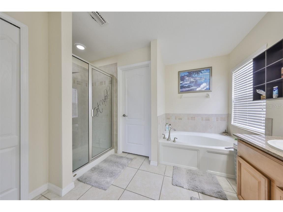 13914 Chalk Hill Place Riverview FL 33579 TB8446830 image28