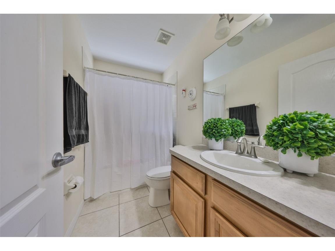 13914 Chalk Hill Place Riverview FL 33579 TB8446830 image37