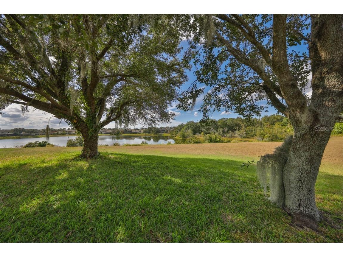 13914 Chalk Hill Place Riverview FL 33579 TB8446830 image46