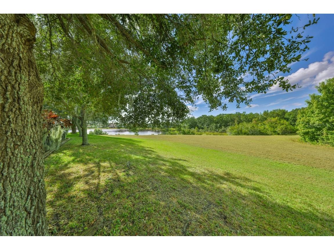 13914 Chalk Hill Place Riverview FL 33579 TB8446830 image47