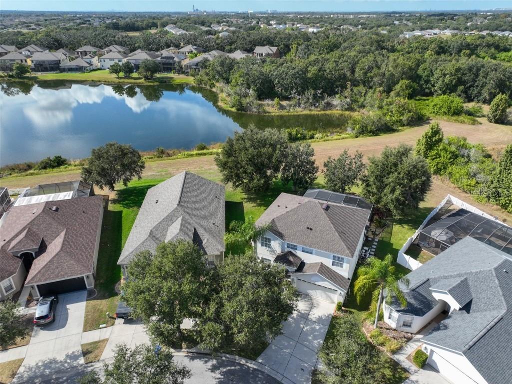 13914 Chalk Hill Place Riverview FL 33579 TB8446830 image50