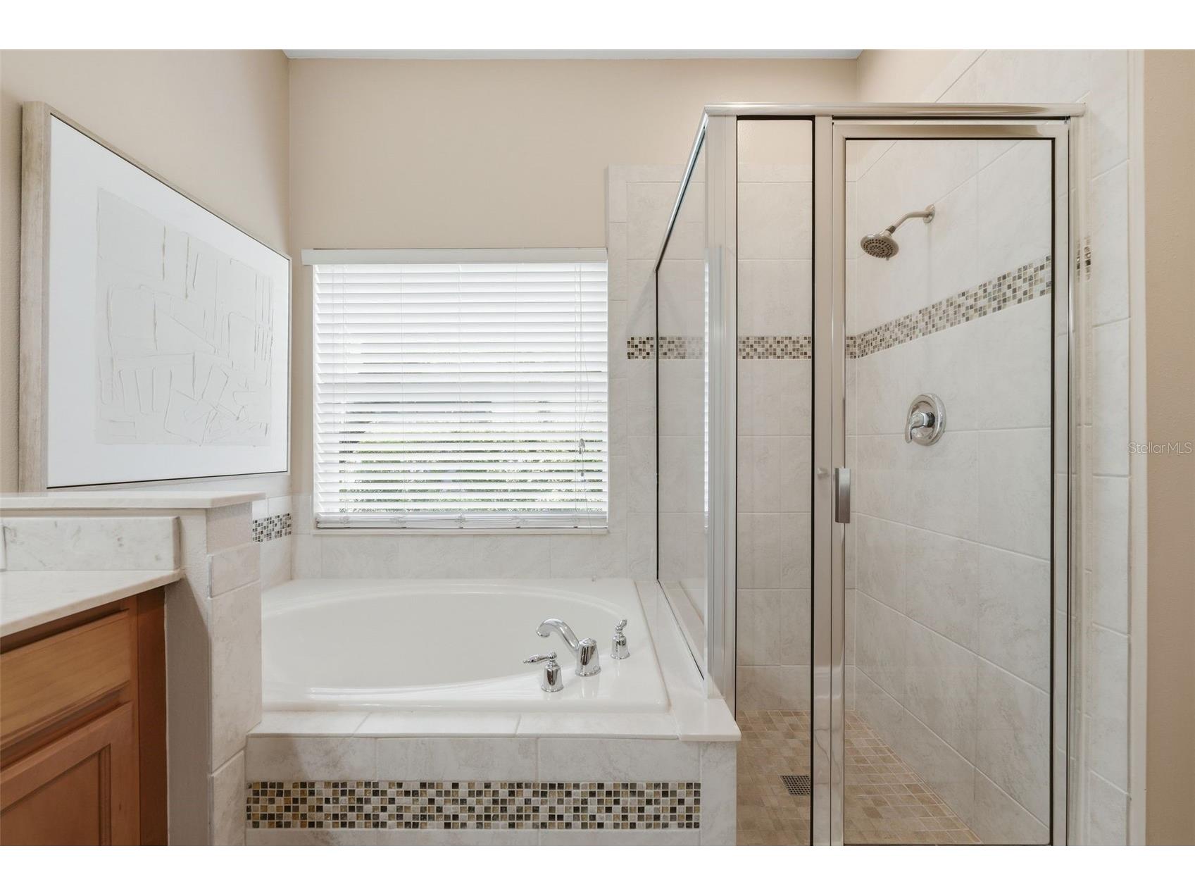 13914 Florigold Drive Windermere FL 34786 - LAKE SPEER O6413986 image26