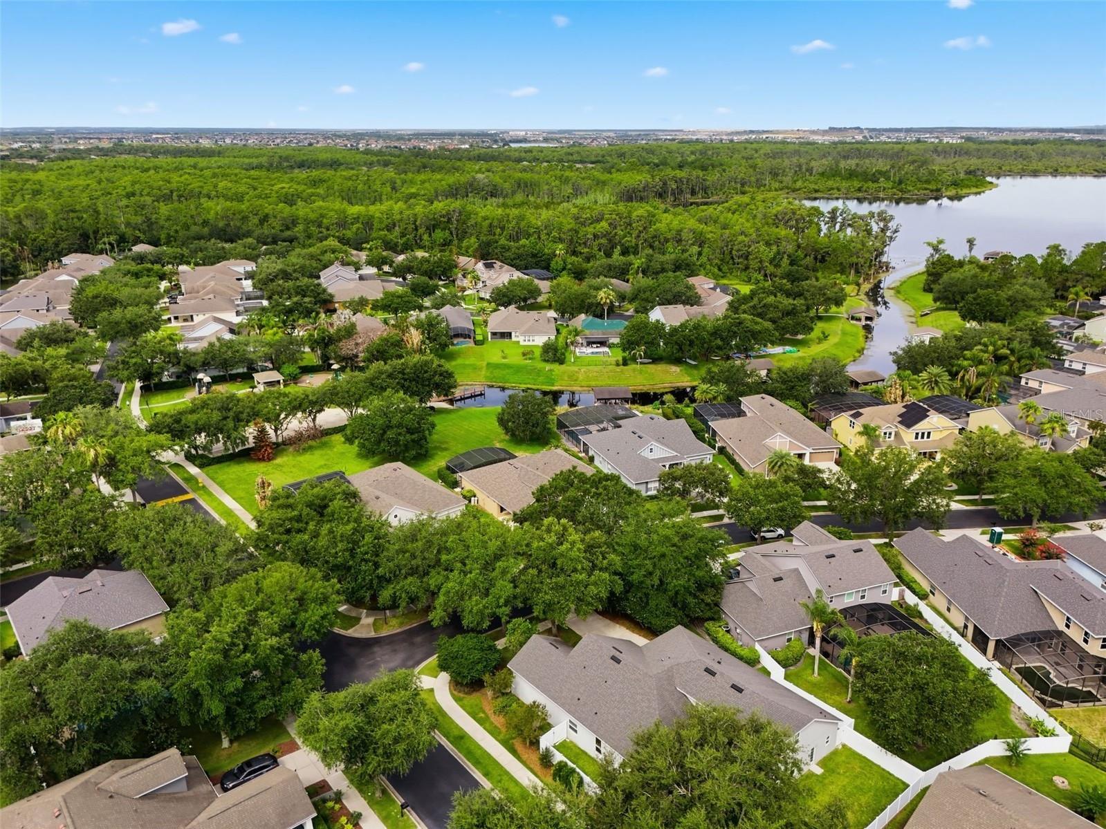 13914 Florigold Drive Windermere FL 34786 - LAKE SPEER O6413986 image51