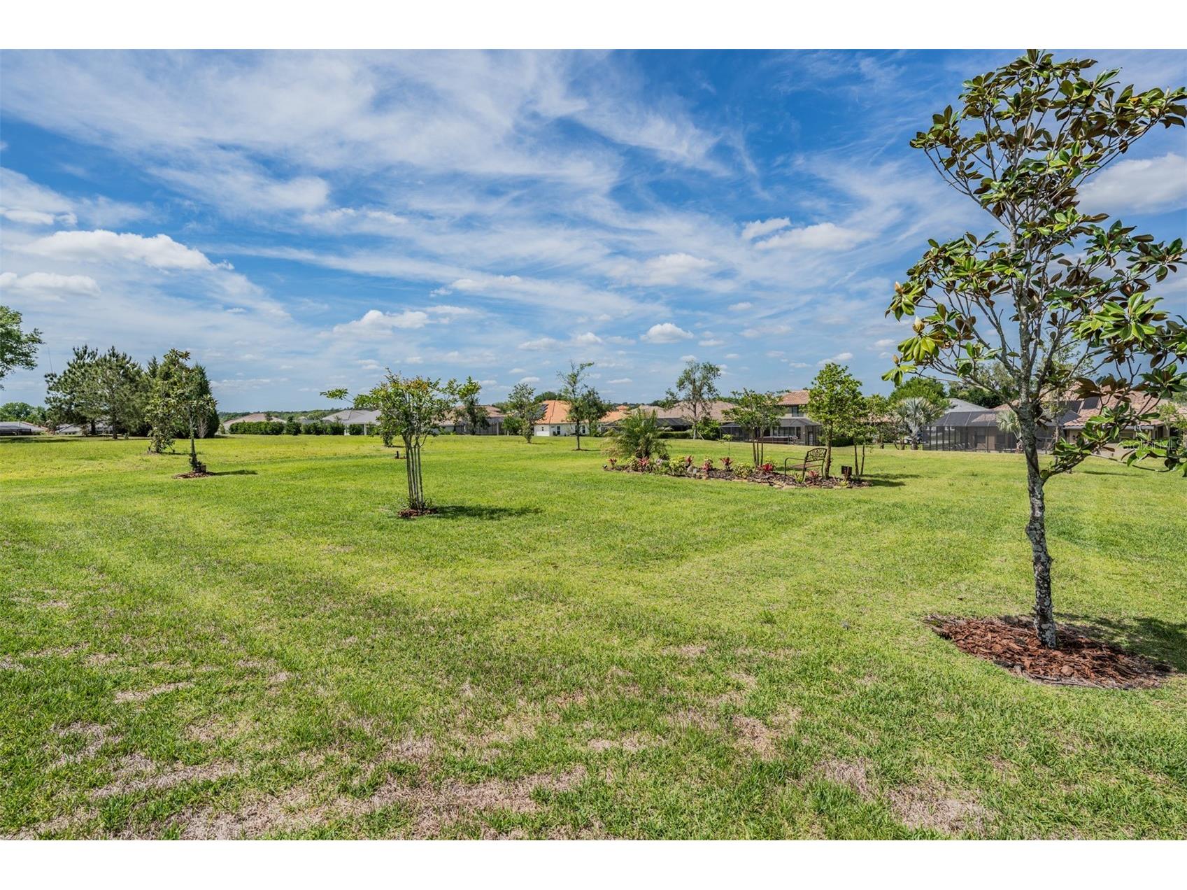 13915 Carryback Drive Dade City FL 33525 TB8497950 image54