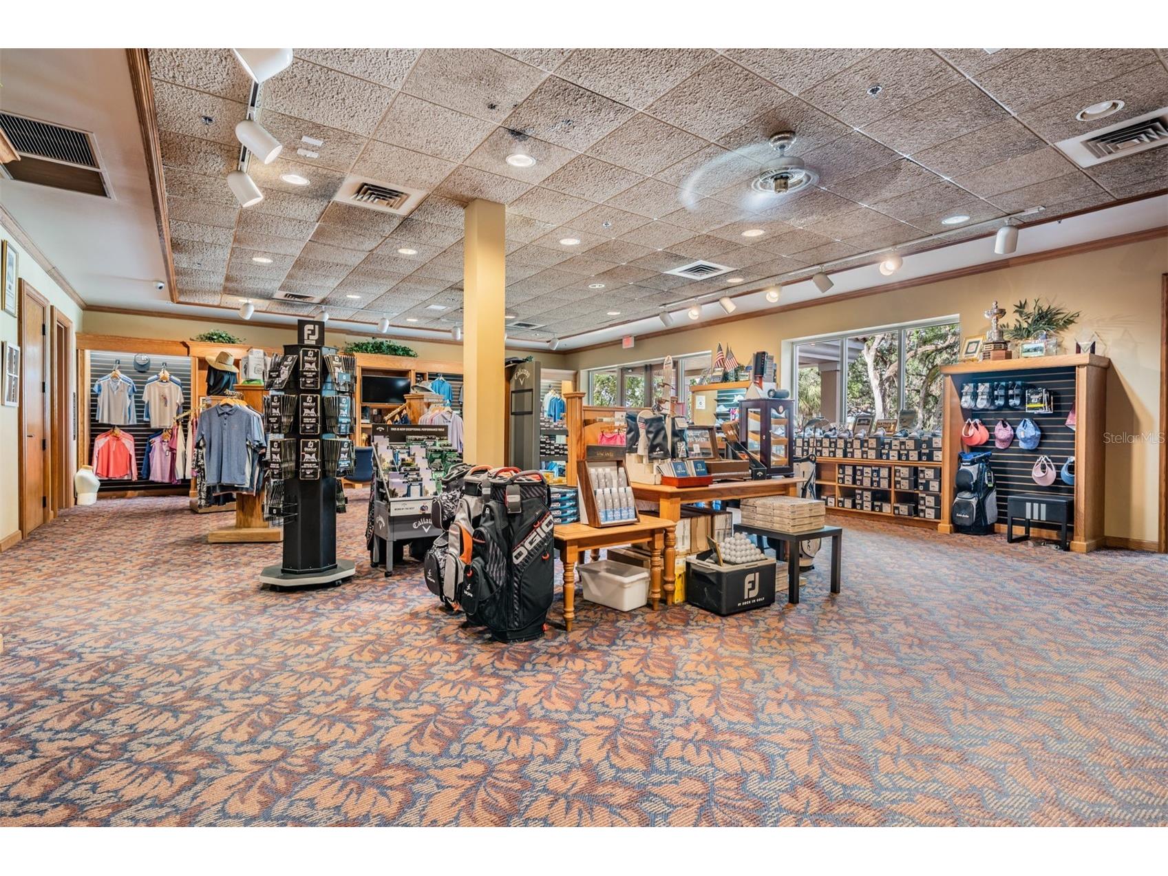13915 Carryback Drive Dade City FL 33525 TB8497950 image66