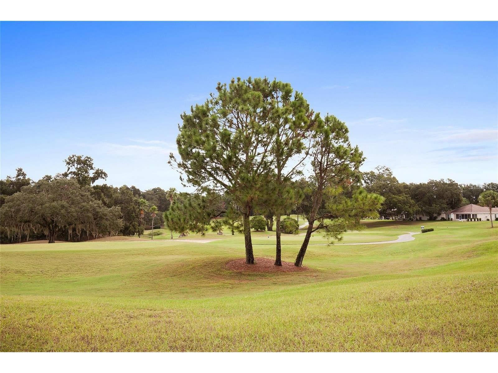 13915 SE 94th Avenue Summerfield FL 34491 OM720919 image66