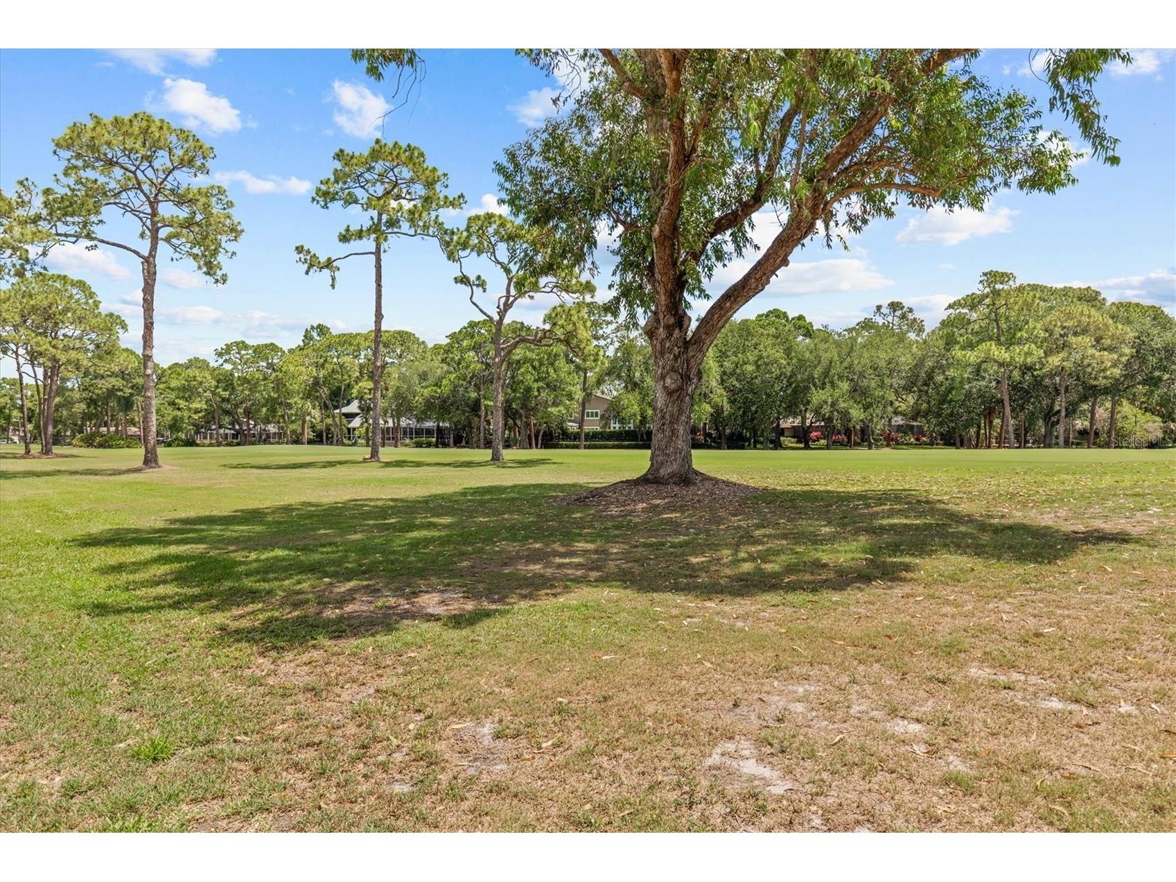 13915 Whisperwood Drive Clearwater FL 33762 TB8507295 image56
