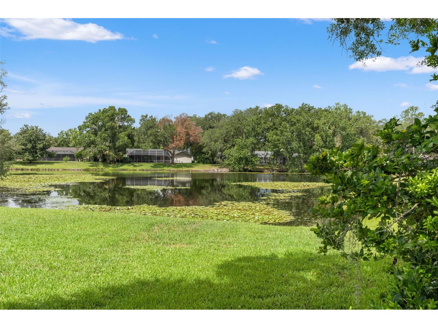 13916 Middle Park Drive Tampa FL 33624 TB8526531 image33