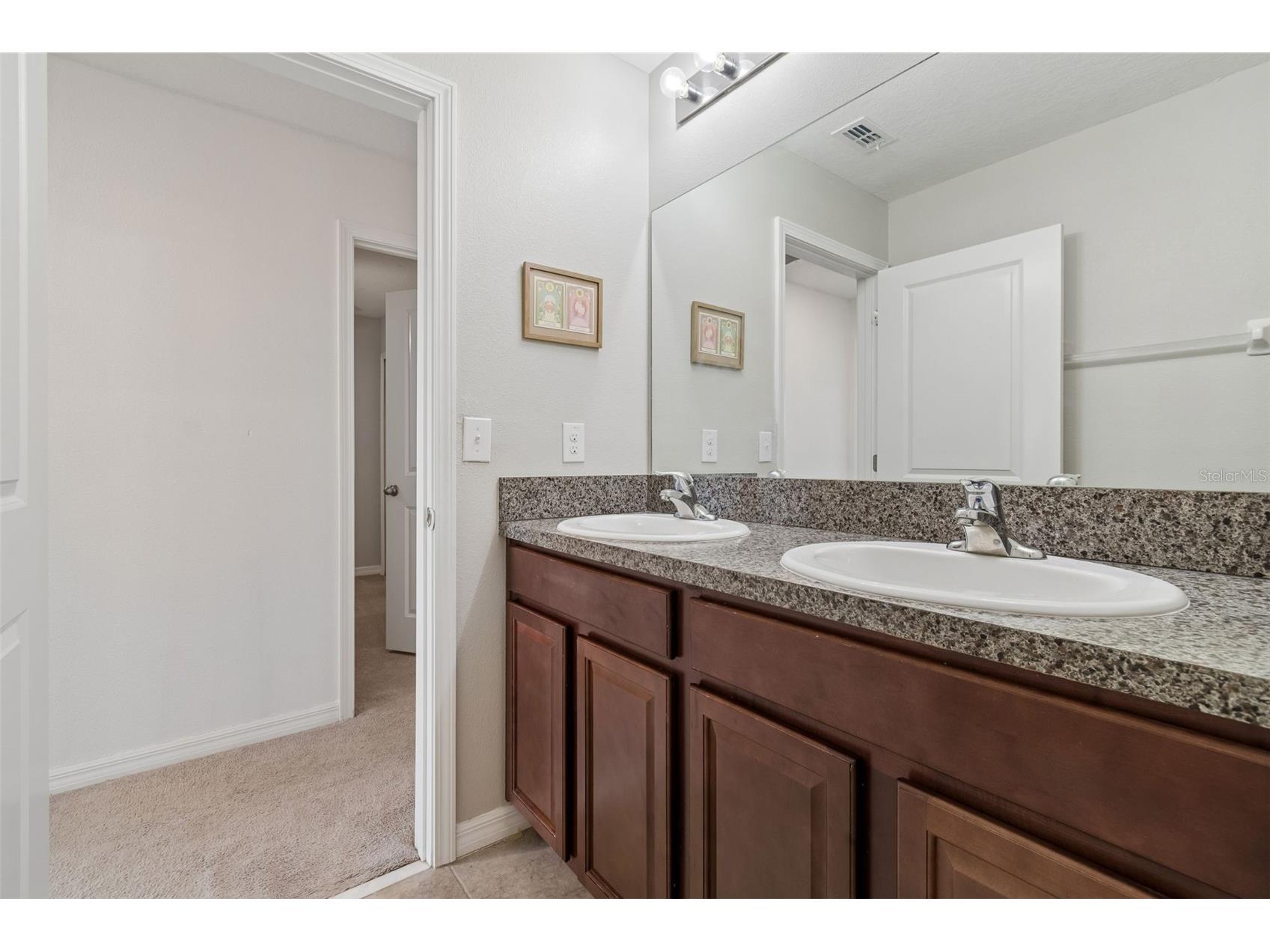13917 Arbor Pines Drive Riverview FL 33579 TB8517457 image24