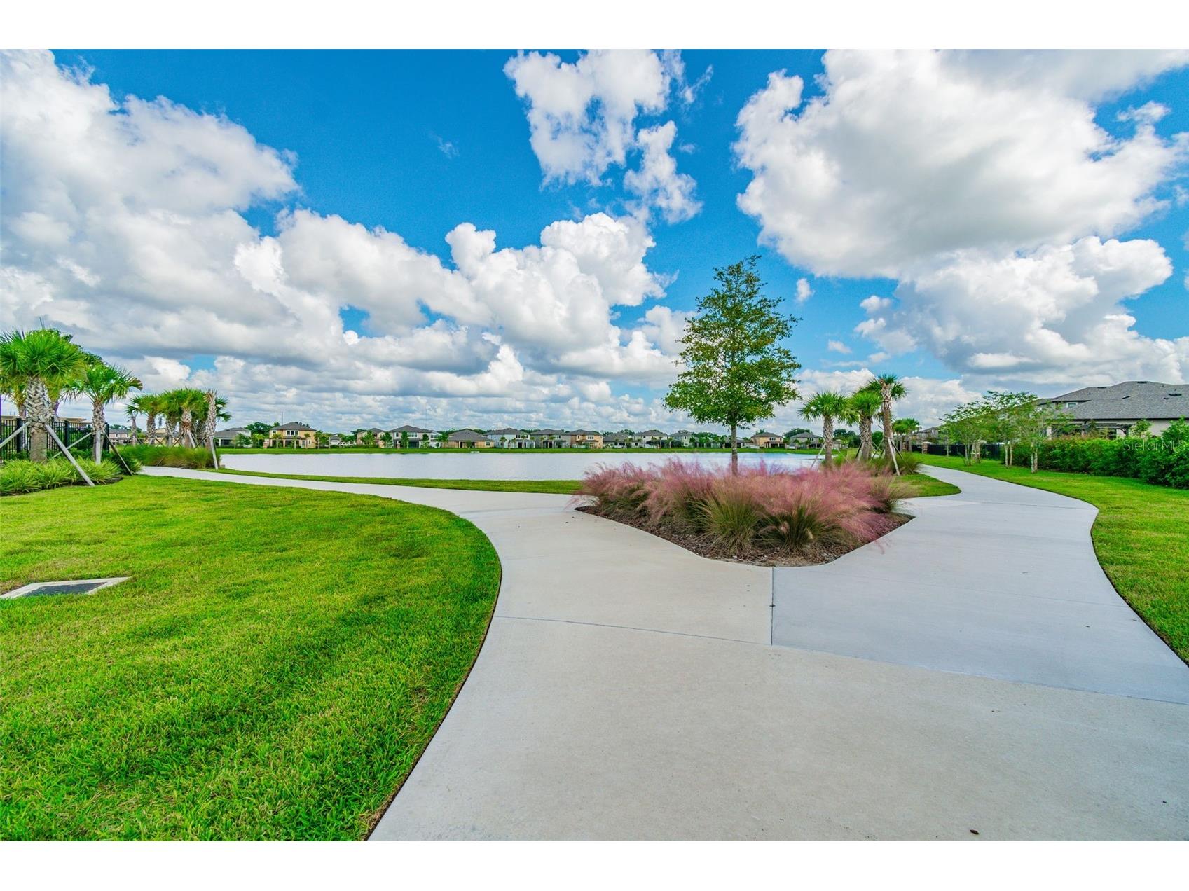 13917 Arbor Pines Drive Riverview FL 33579 TB8517457 image72
