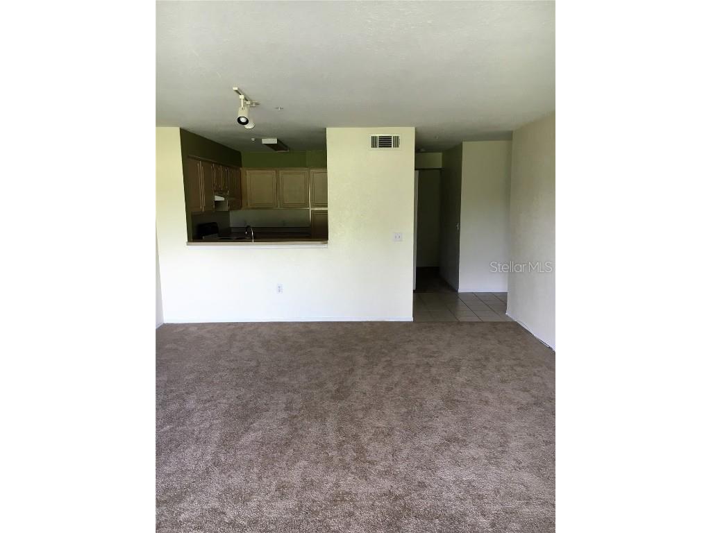 13917 Fairway Island Drive #917 Orlando FL 32837 O6360006 image7