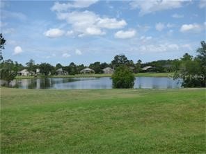 13917 Fairway Island Drive #917 Orlando FL 32837 O6399866 image15