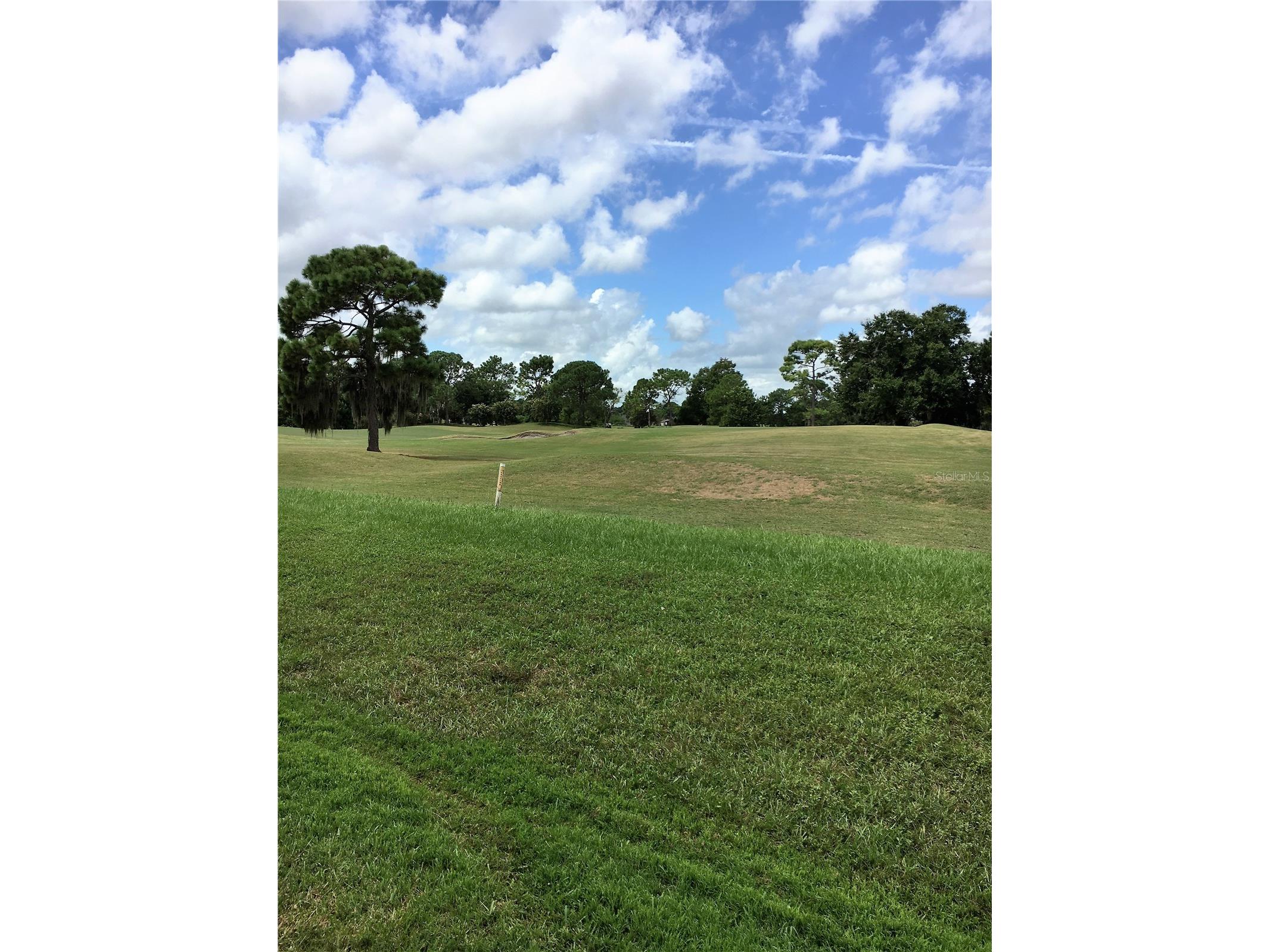 13917 Fairway Island Drive #917 Orlando FL 32837 O6399866 image17