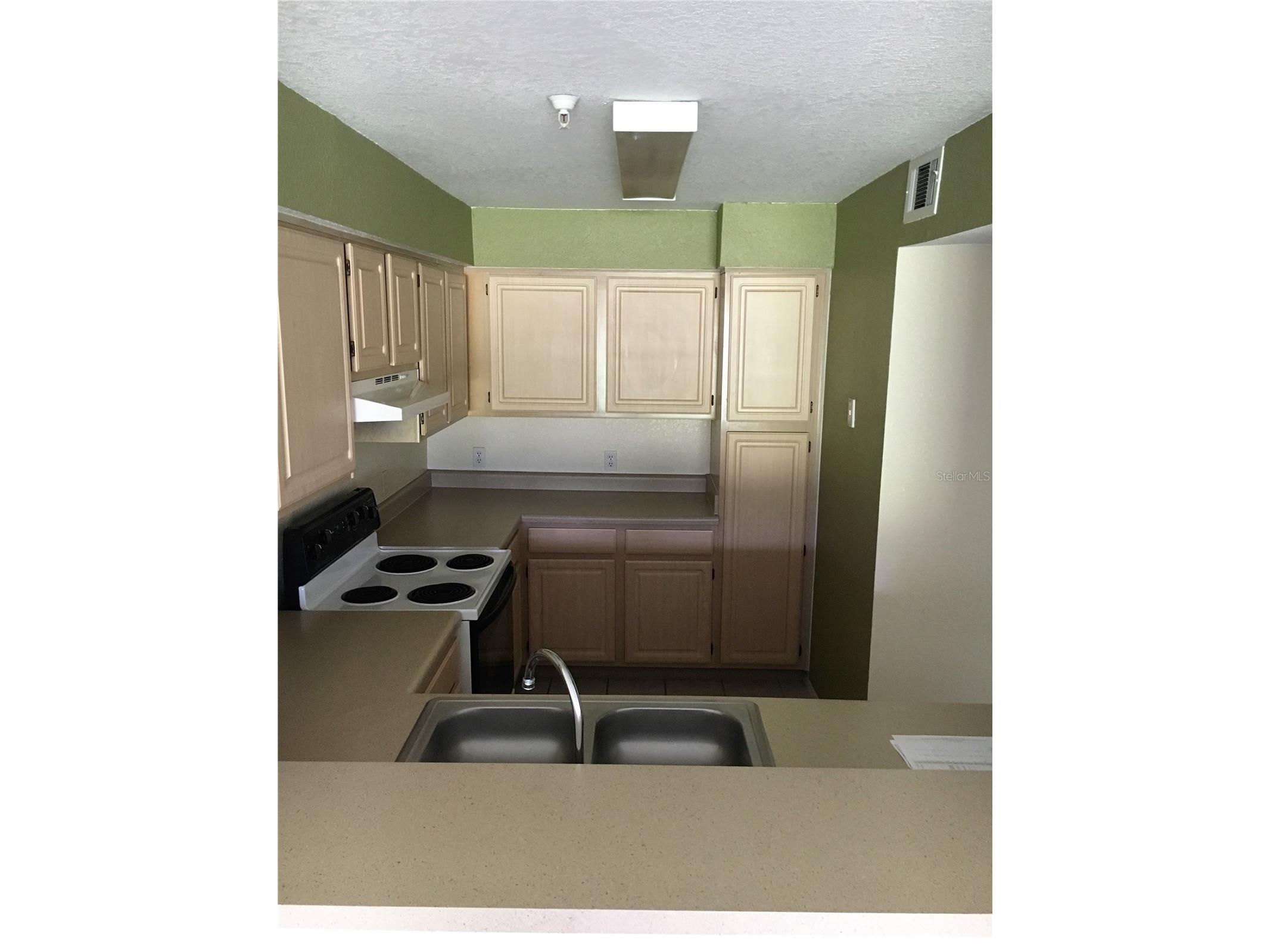 13917 Fairway Island Drive #917 Orlando FL 32837 O6399866 image8