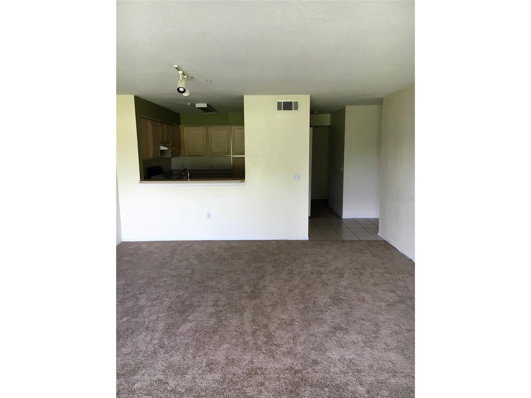 13917 Fairway Island Drive #917 Orlando FL 32837 O6399866 image9
